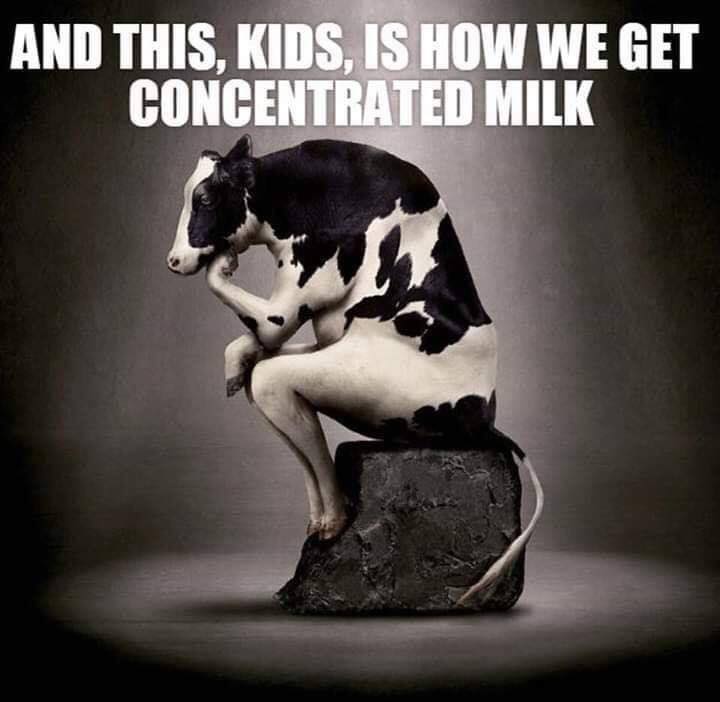 milk.jpg