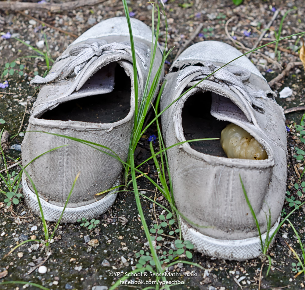 mix-3.jpg