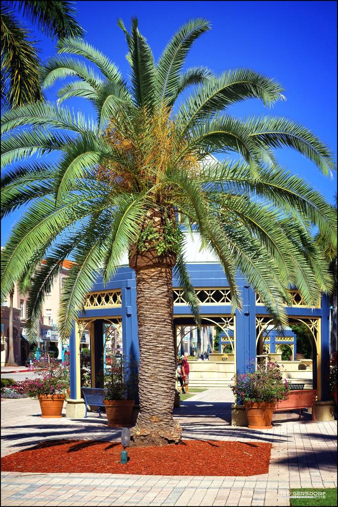Mizner Mall   2.jpg