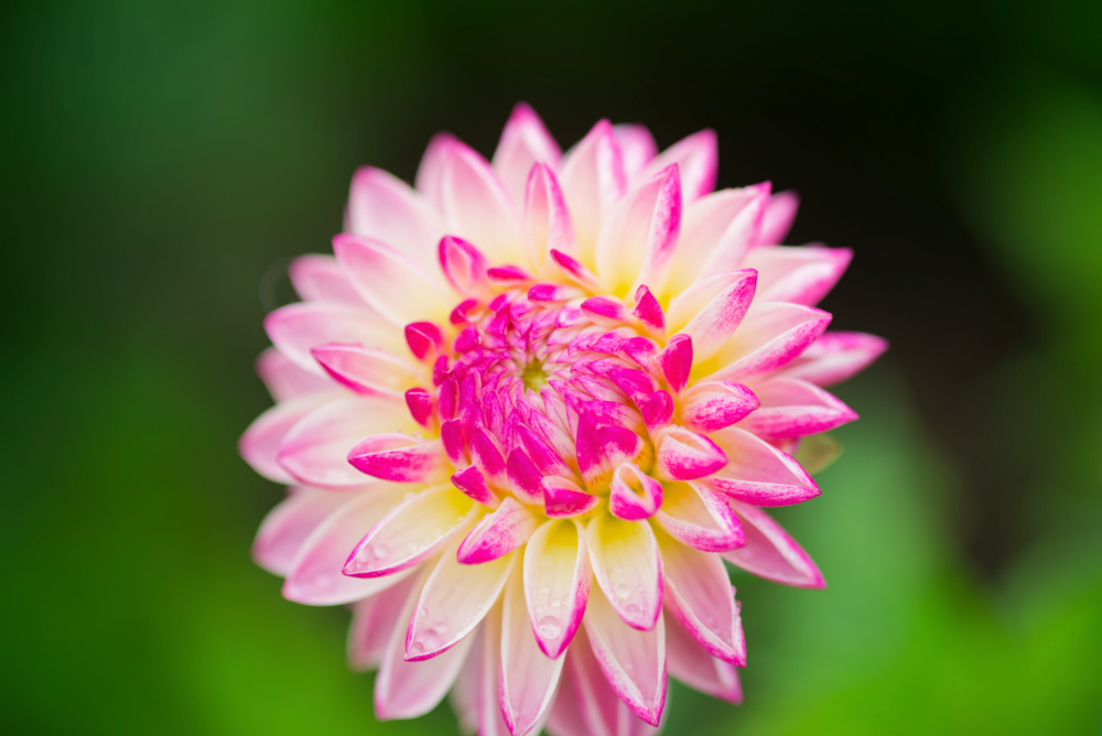 MLP_9409_DxO_DxO.jpg