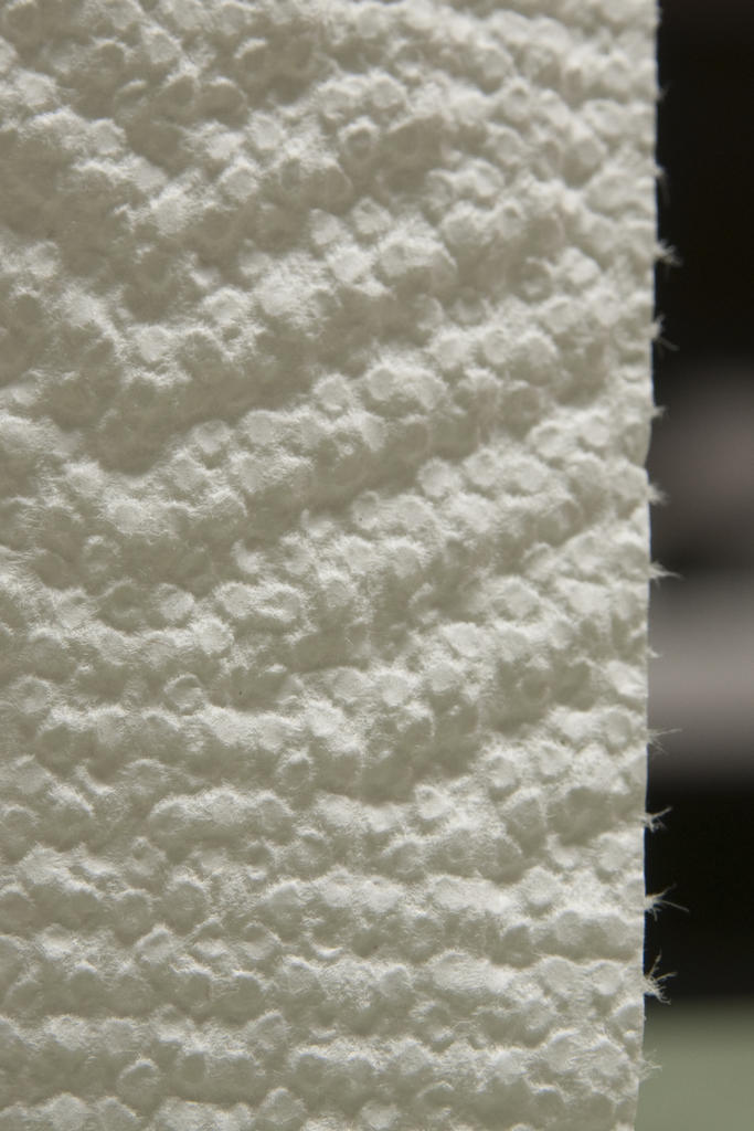 MM2a8167_PaperTowel.jpg