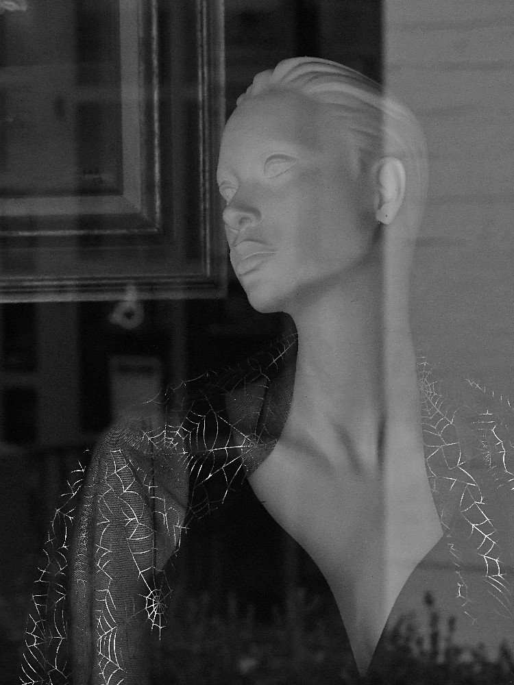 Model.jpg