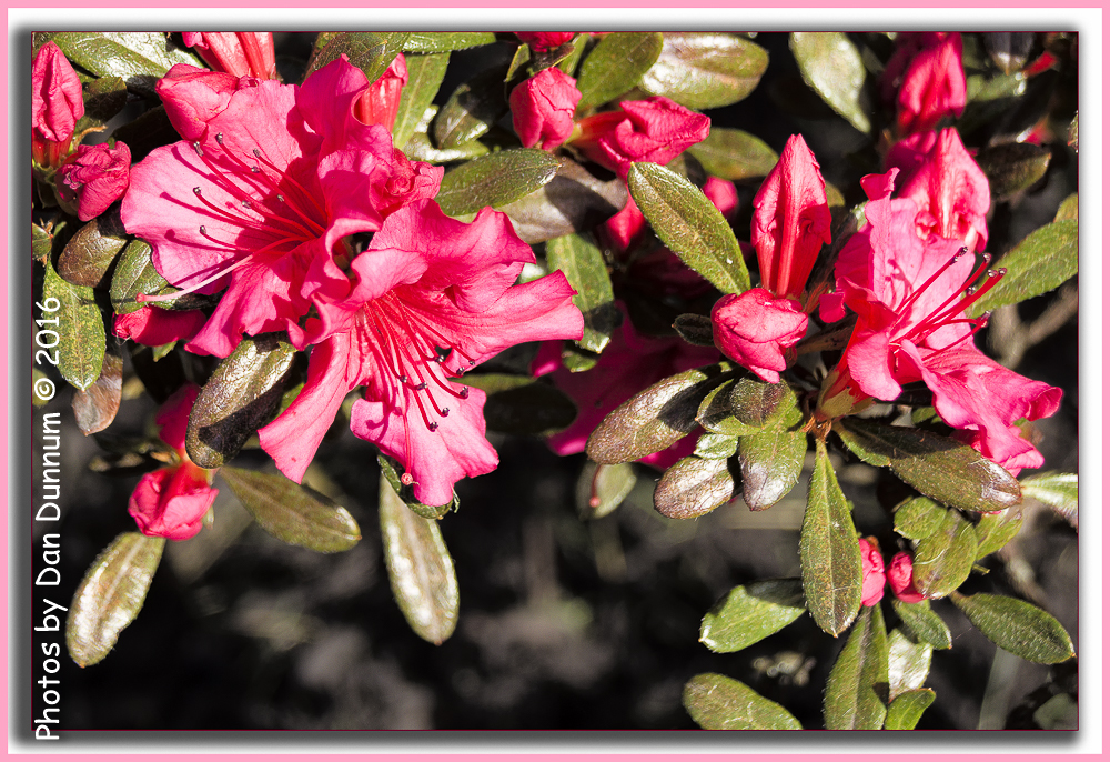 Moms Garden-5218-Edit.jpg