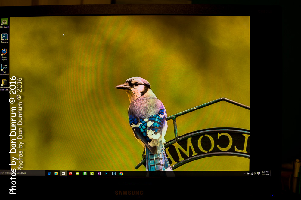 monitor-7472.jpg
