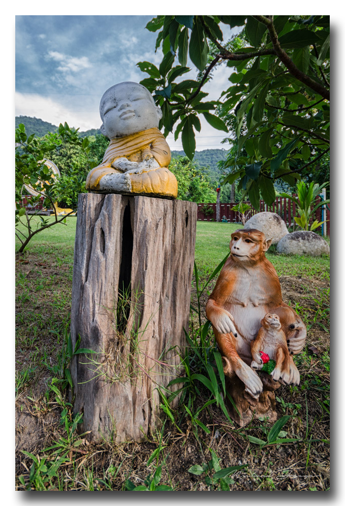 monk-monkey-together.jpg