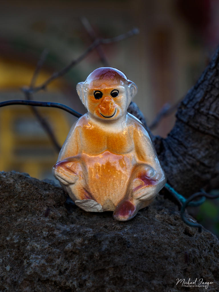 monkey-1.jpg