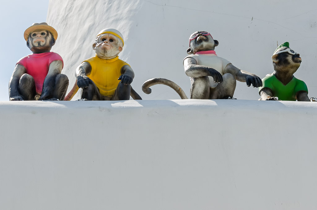 monkeys-1.jpg