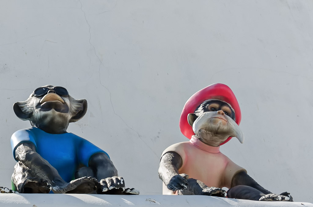 monkeys-2.jpg
