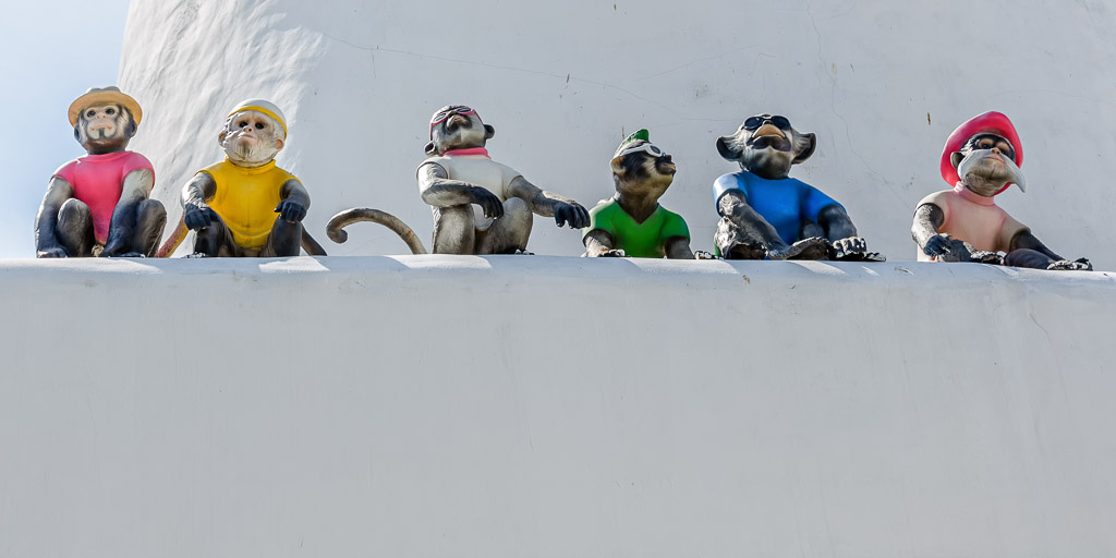 monkeys-3.jpg
