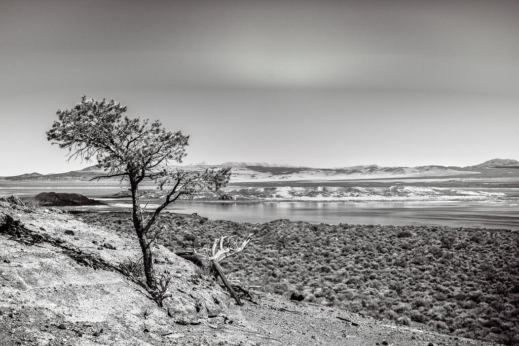 Mono Lake -August 2014_0025.jpg