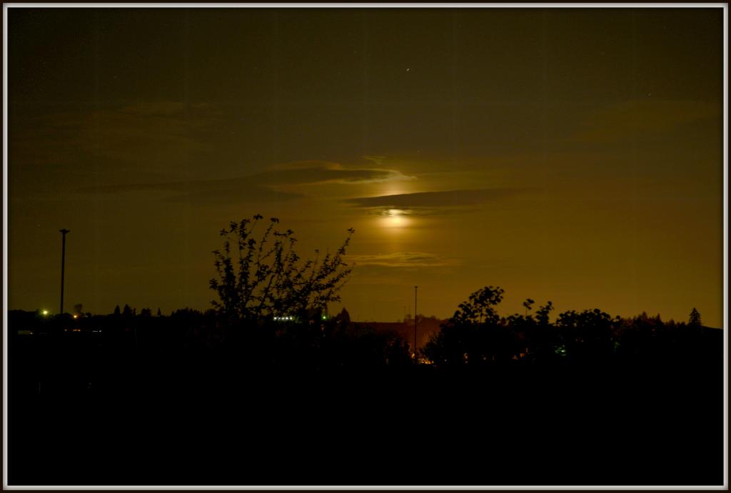 moon 031.jpg