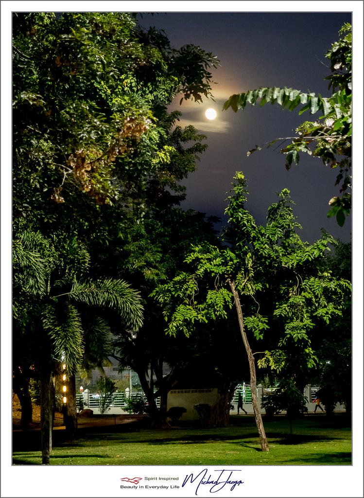 moon-1.jpg