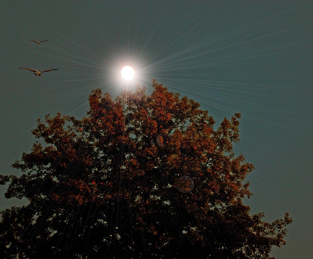 moon 2.jpg