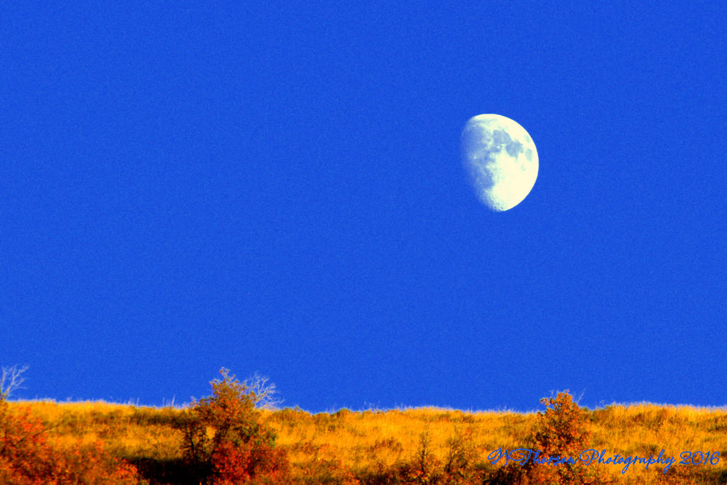 Moon at Sunset 10-11-2016.jpg