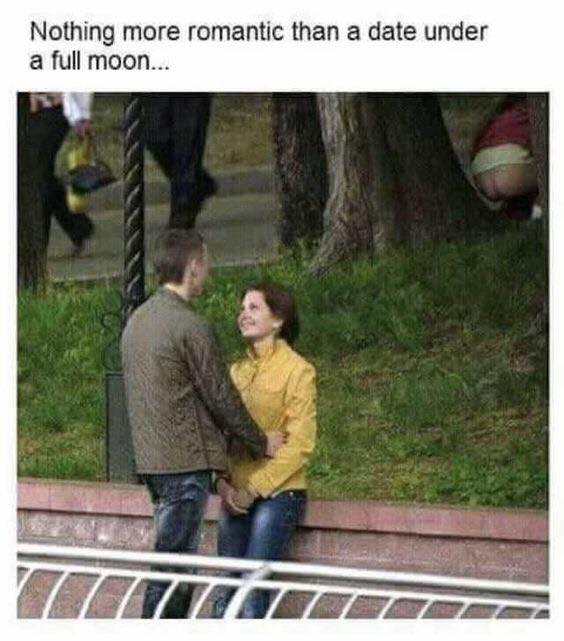 moon.jpg