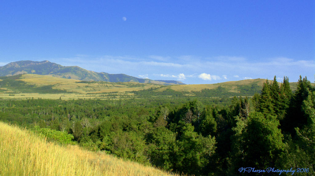 Moon Over the Valley 7-16-2016.jpg