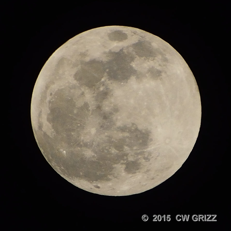 moon-P-cr.jpg
