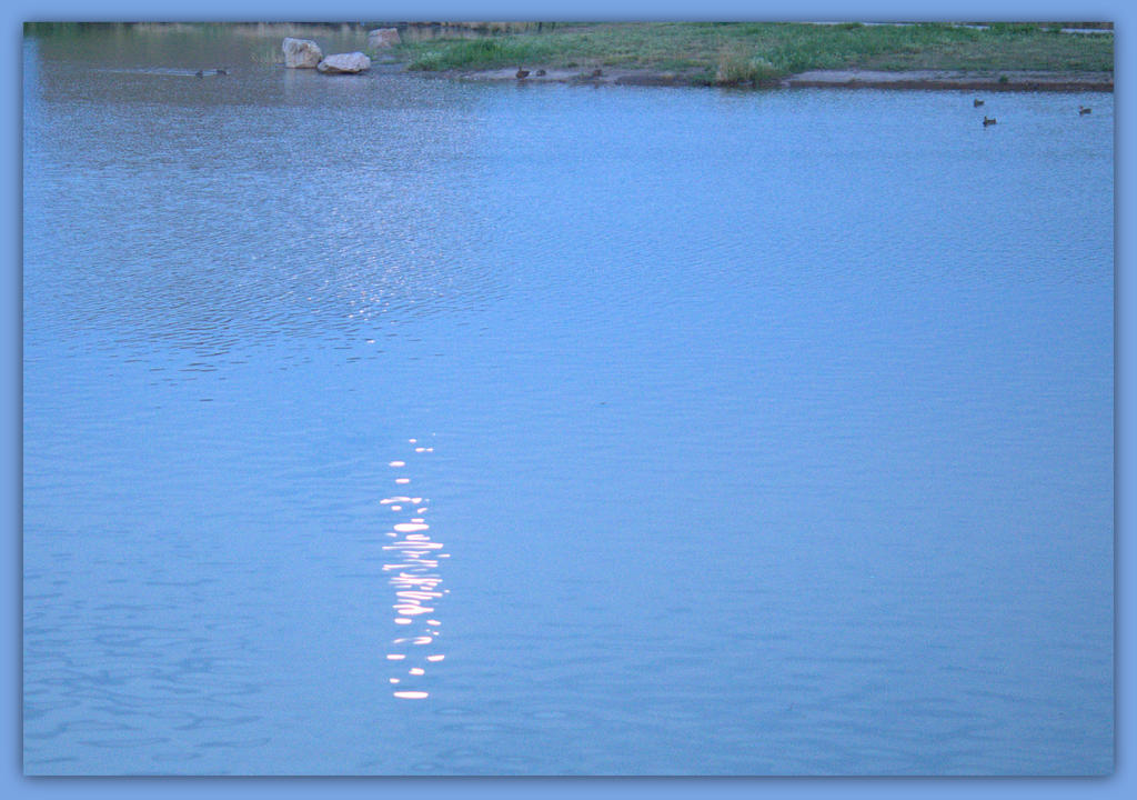 Moon Reflection.jpg