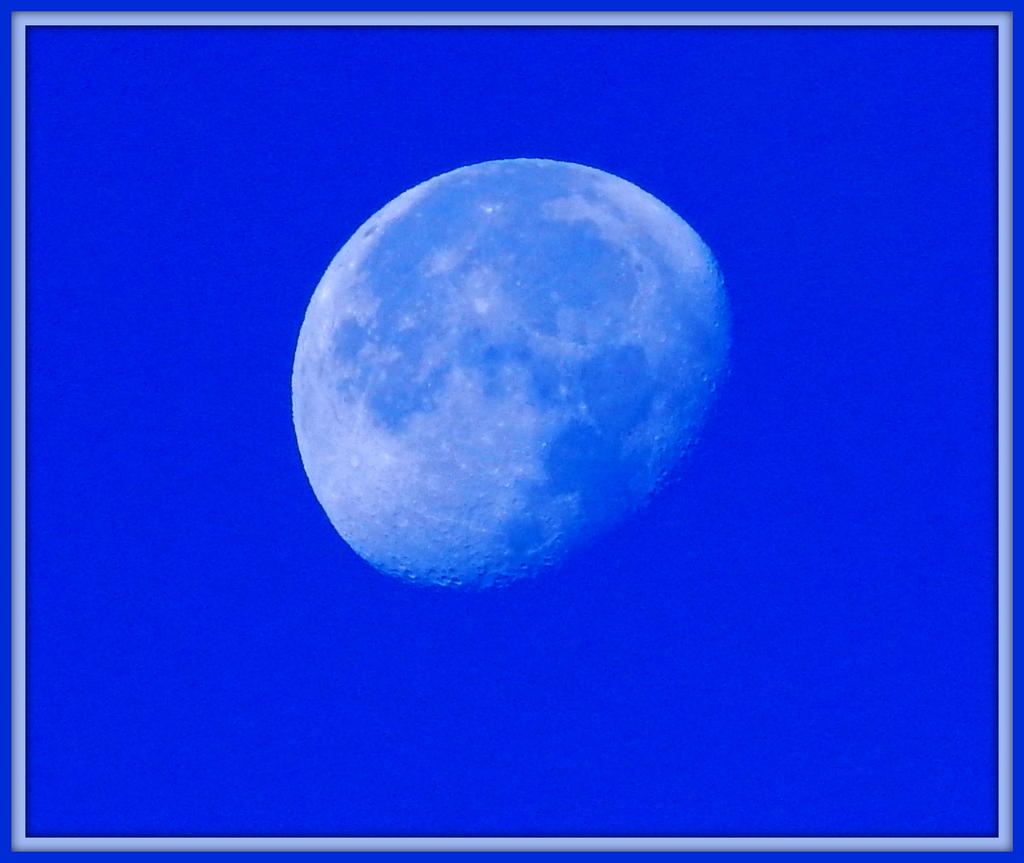 Moon Set 11-10-2014.jpg