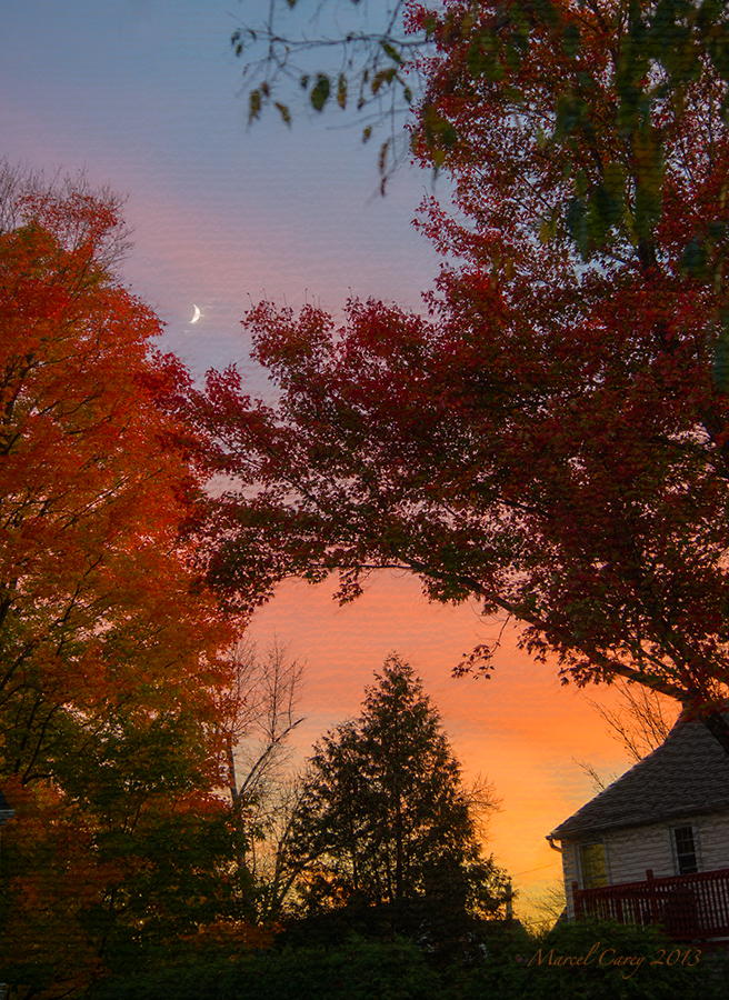 moonrise in the fall 2.jpg