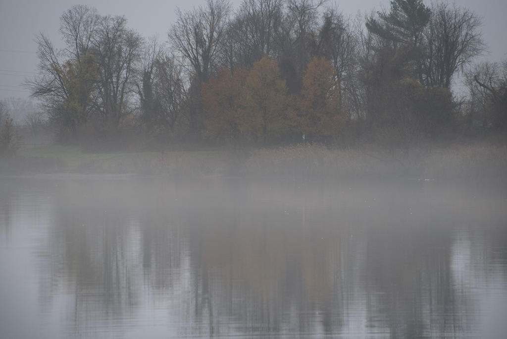 More-fog.jpg