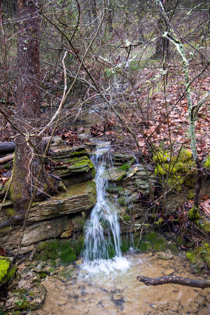 Morgan Park-0281.jpg