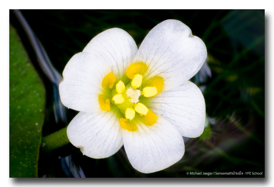 morning-40-3.jpg