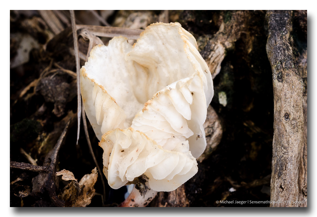 morning-40-4.jpg