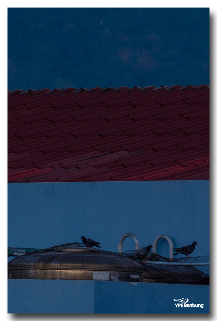 morning-5-4-2015-ype-banbung-7.jpg