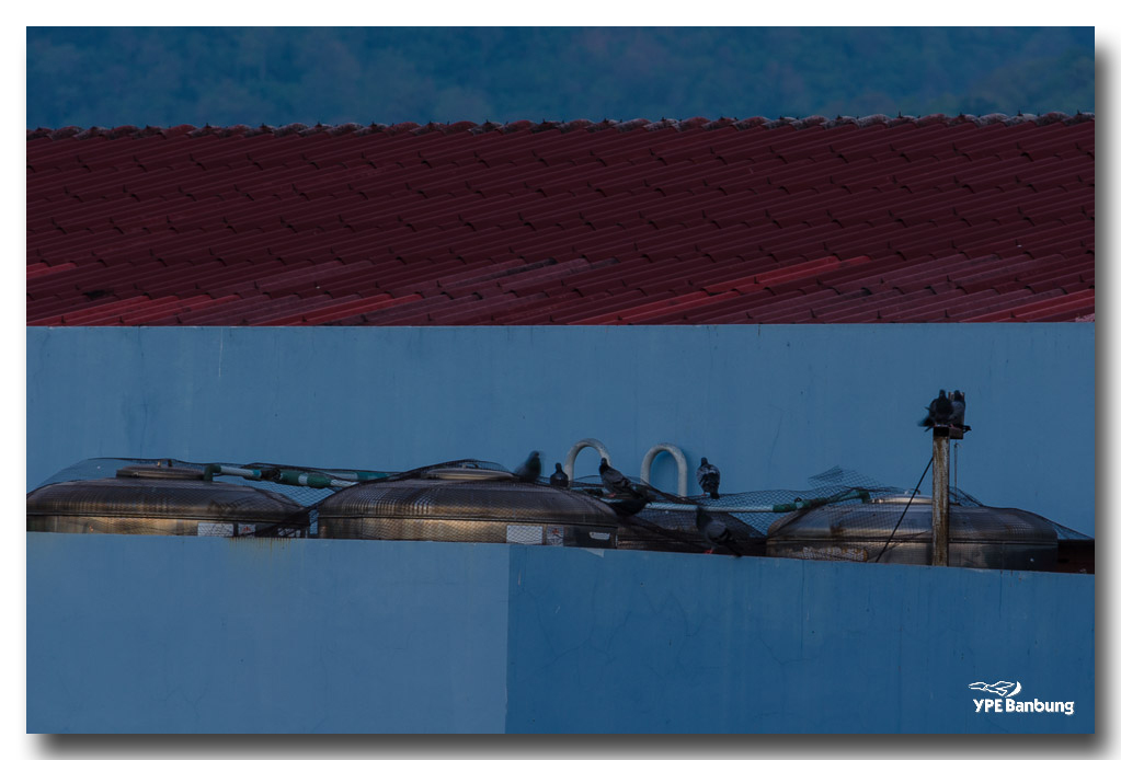 morning-5-4-2015-ype-banbung-9.jpg