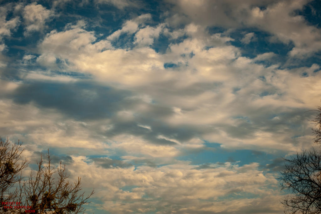Morning and Evening-0615.jpg
