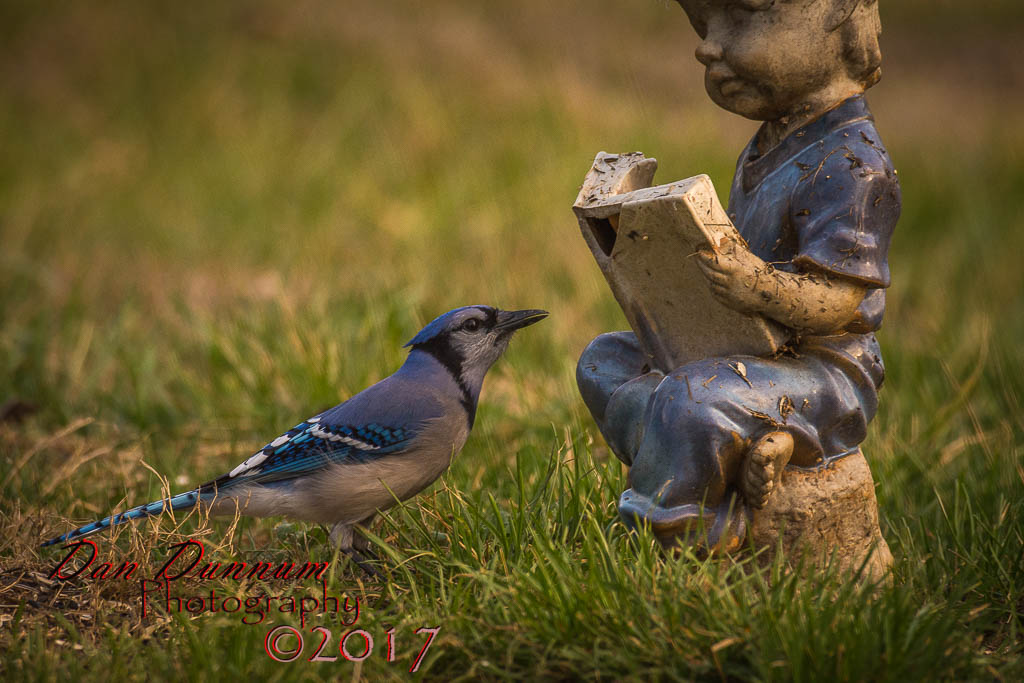 Morning Birds-1001.jpg