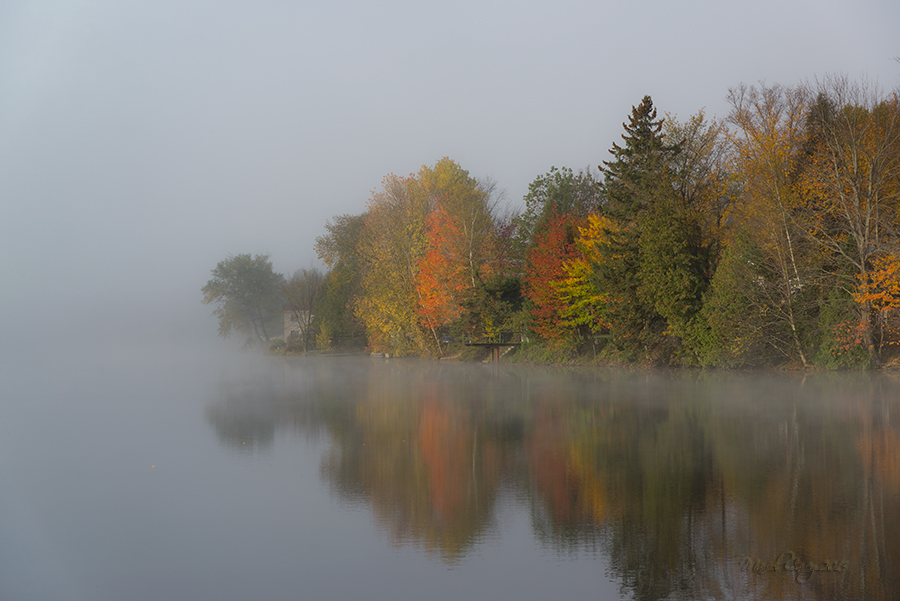 Morning by the river1.jpg