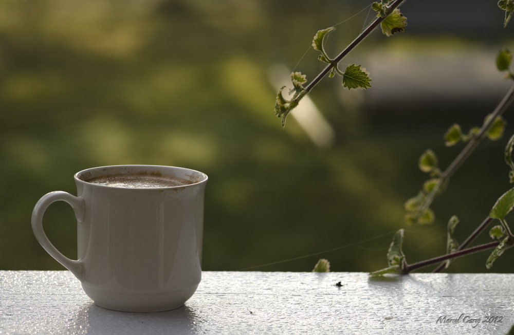morning coffee.jpg