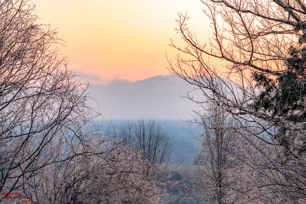 Morning Glimmer-3533.jpg