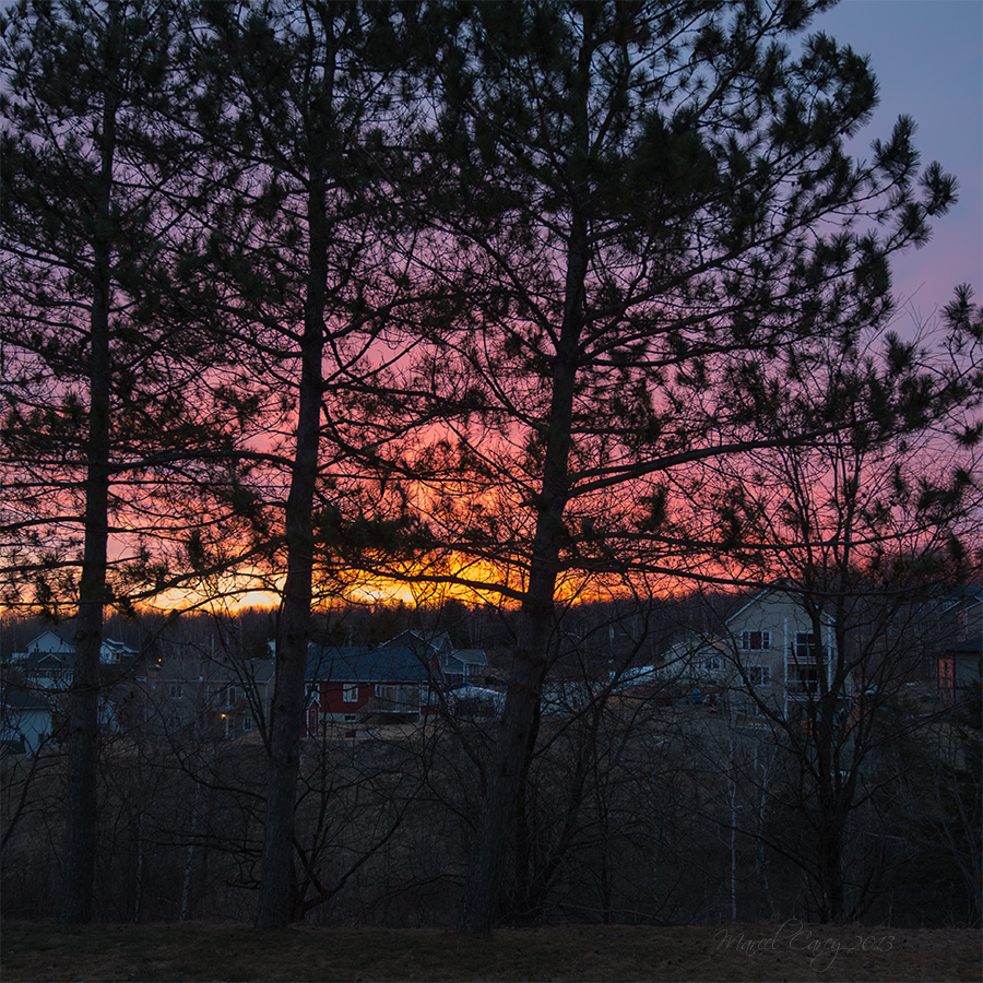 morning glow.jpg
