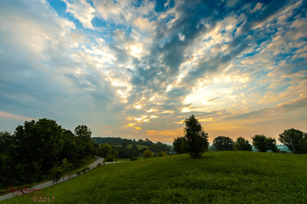 Morning light-7676.jpg