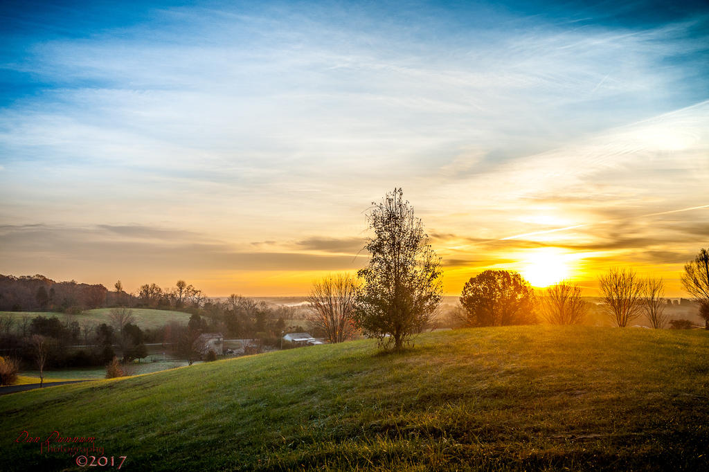 Morning Light-9351.jpg