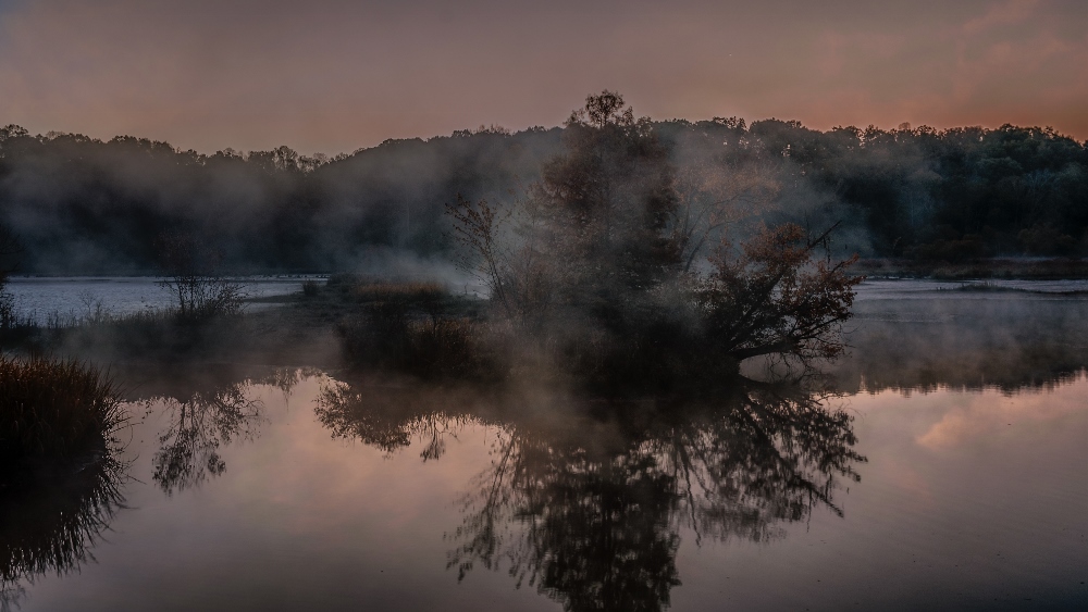 Morning Mist--2 (1000x563).jpg