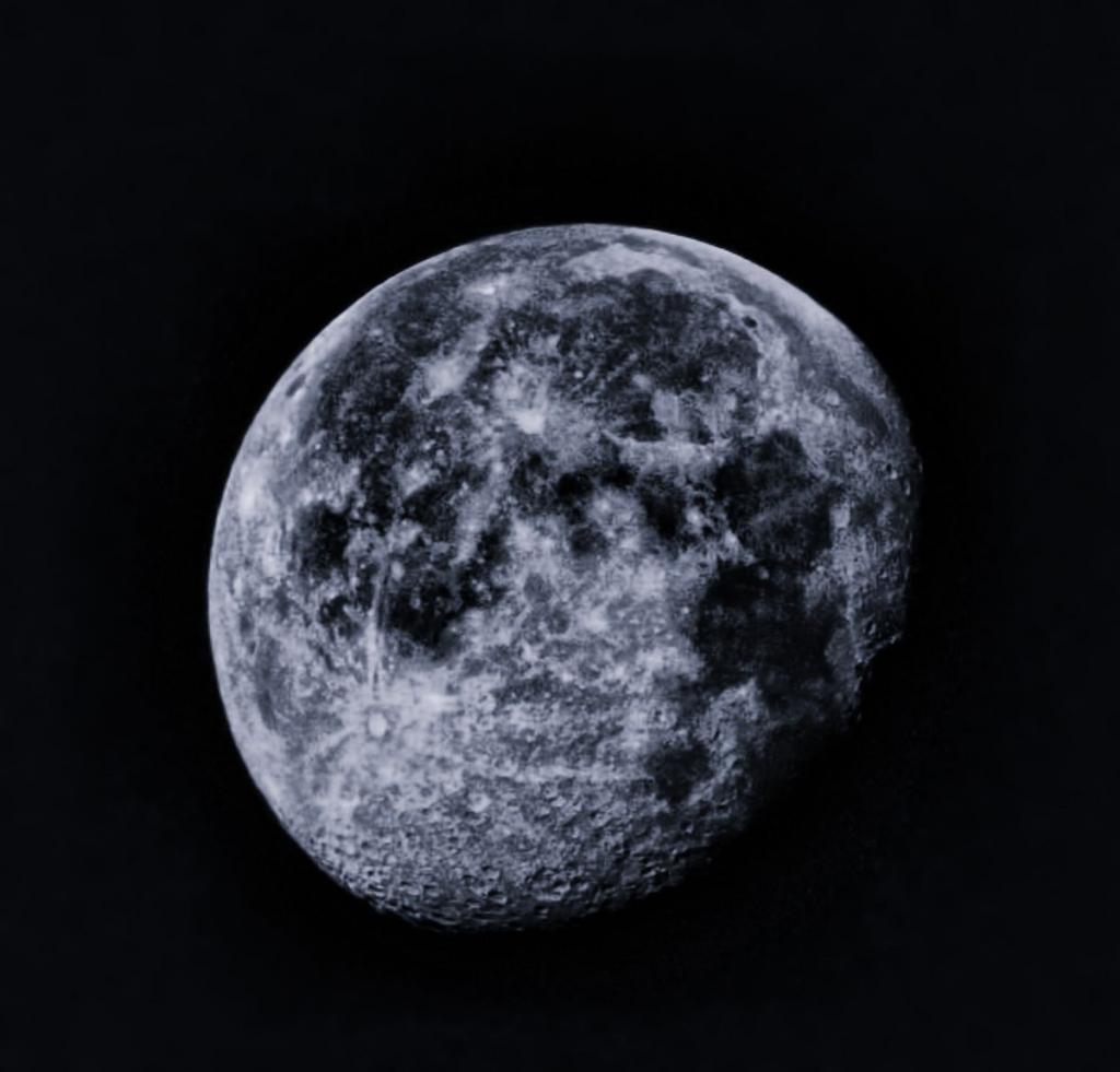 morning moon 1.jpg