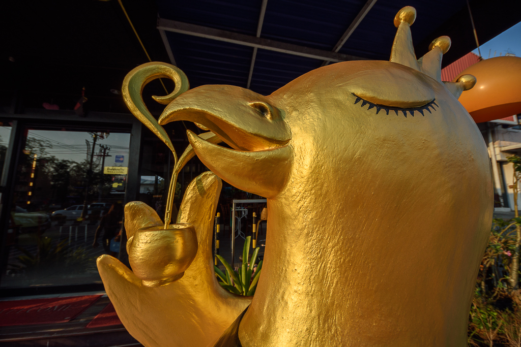 morning-snaps-1.jpg