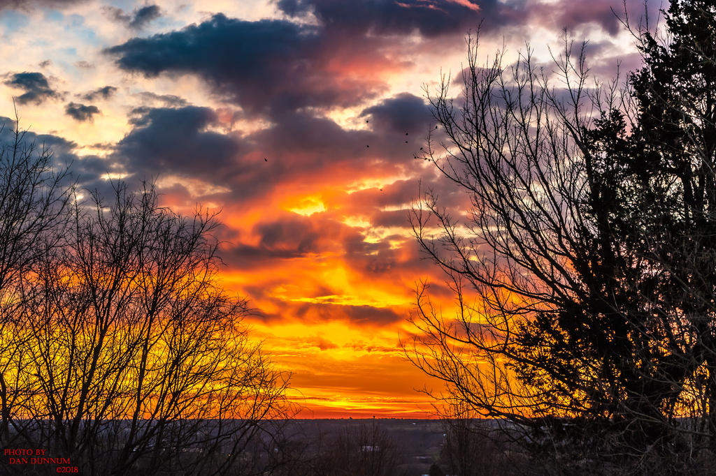 Morning Sun-1367.jpg