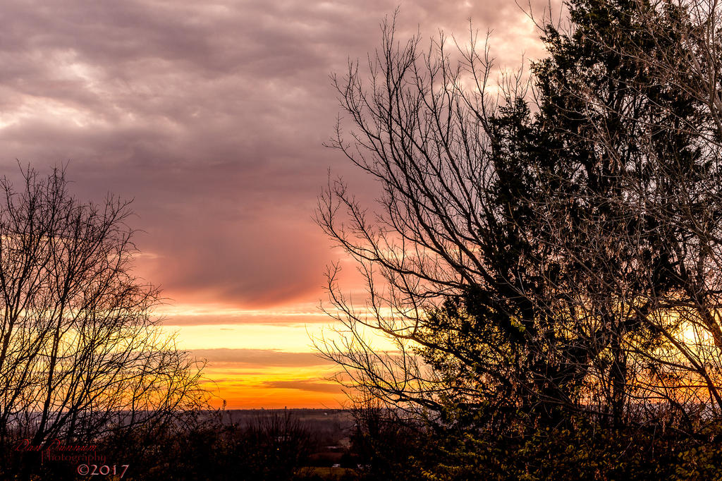 Morning Sun-9767.jpg