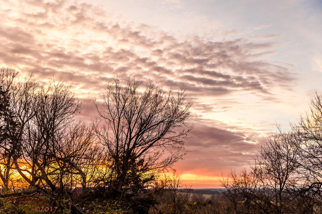 Morning Sun-9772.jpg