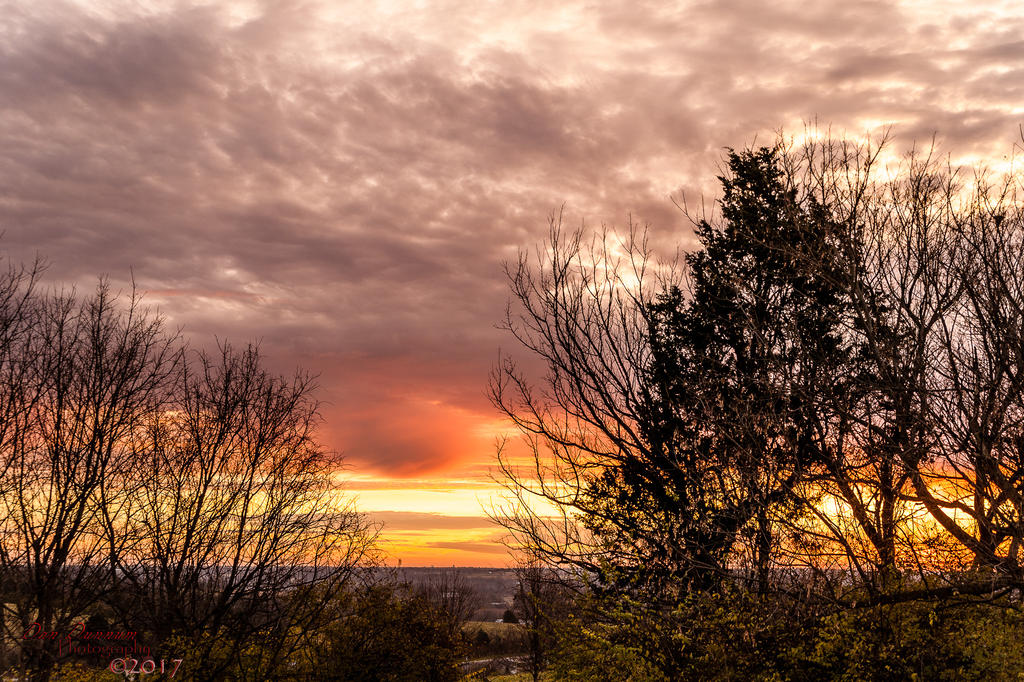 Morning Sun-9774.jpg