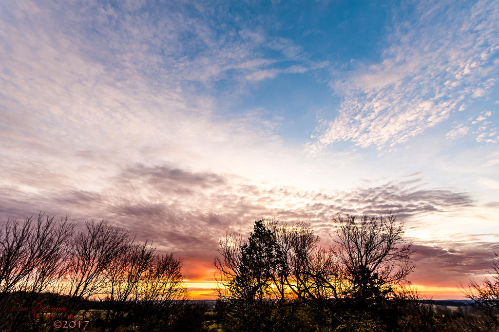 Morning Sun-9777.jpg