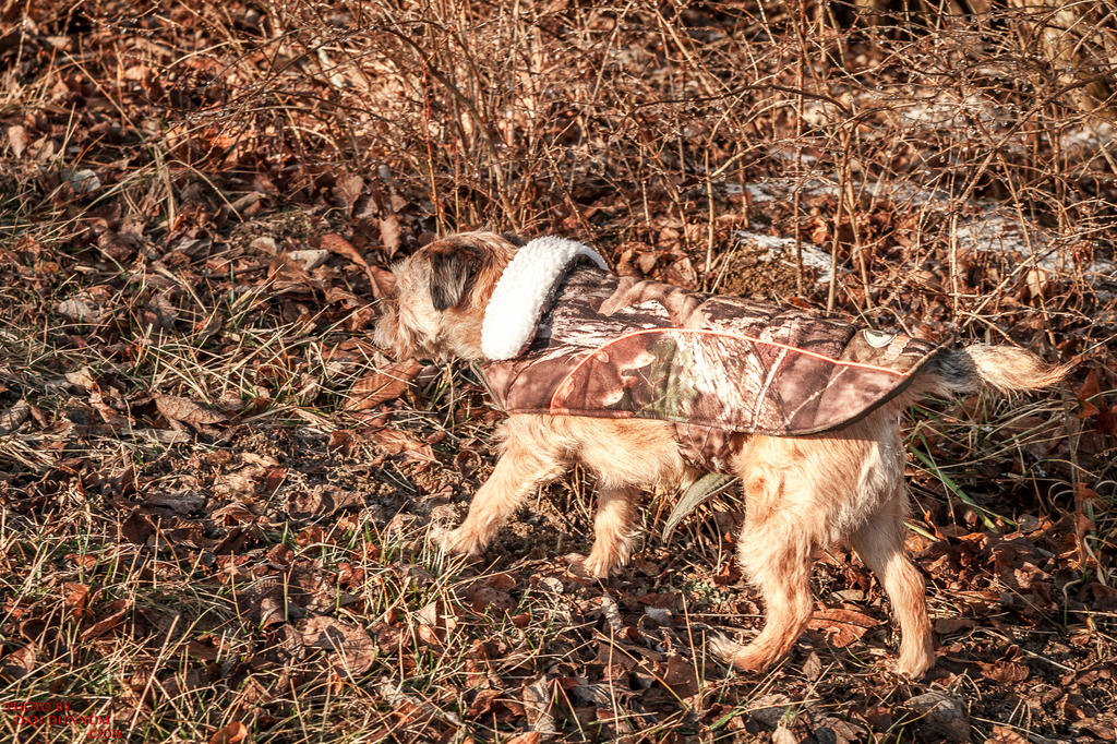 Morning Walk-0712.jpg