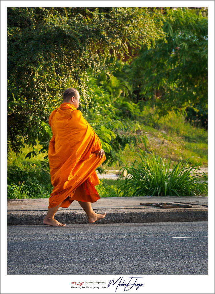 morning-walk-1.jpg
