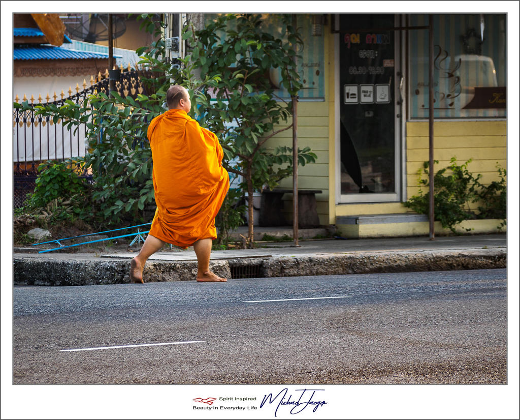 morning-walk-2.jpg