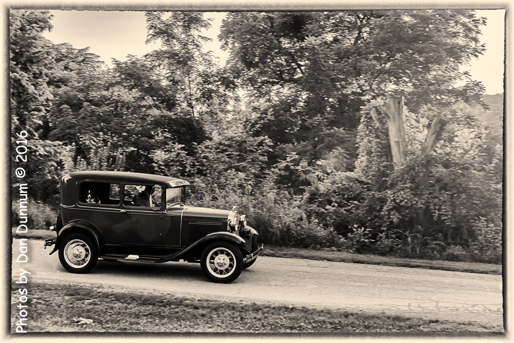 Morning walk-2105-Edit.jpg